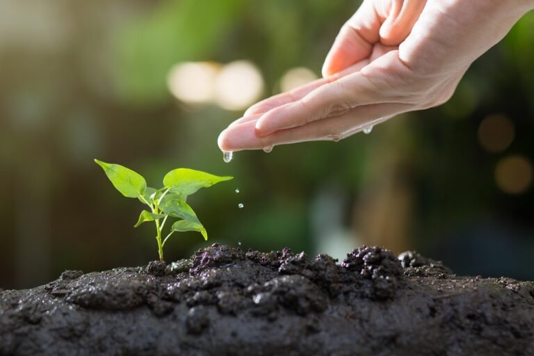 Gardening Tips and Tricks