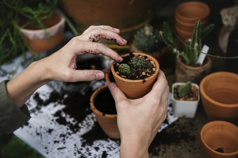 Garden Planting Guide for Beginners