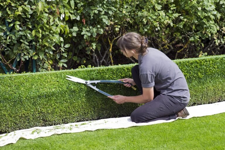 Hedging Plants Update 2026