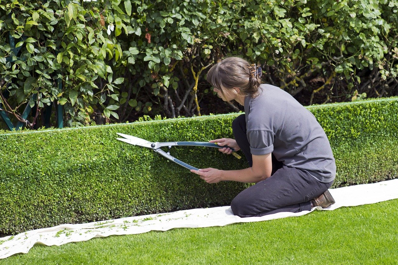 Hedging Plants Update 2026