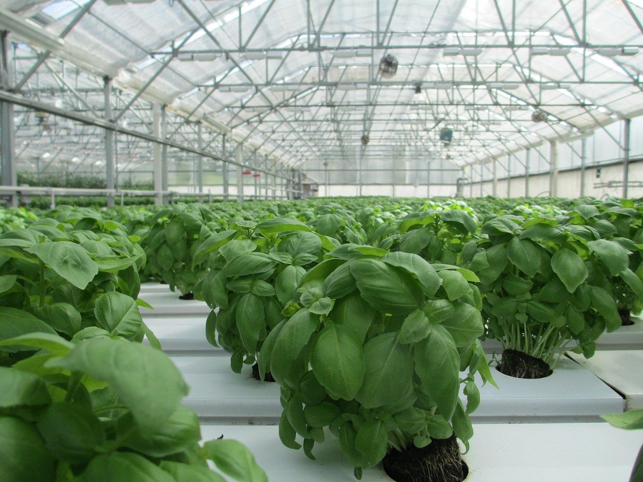Indoor Herb Garden 2026