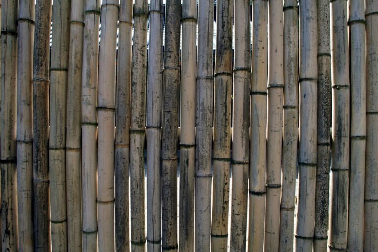 Bamboo Fencing Trends and Insights