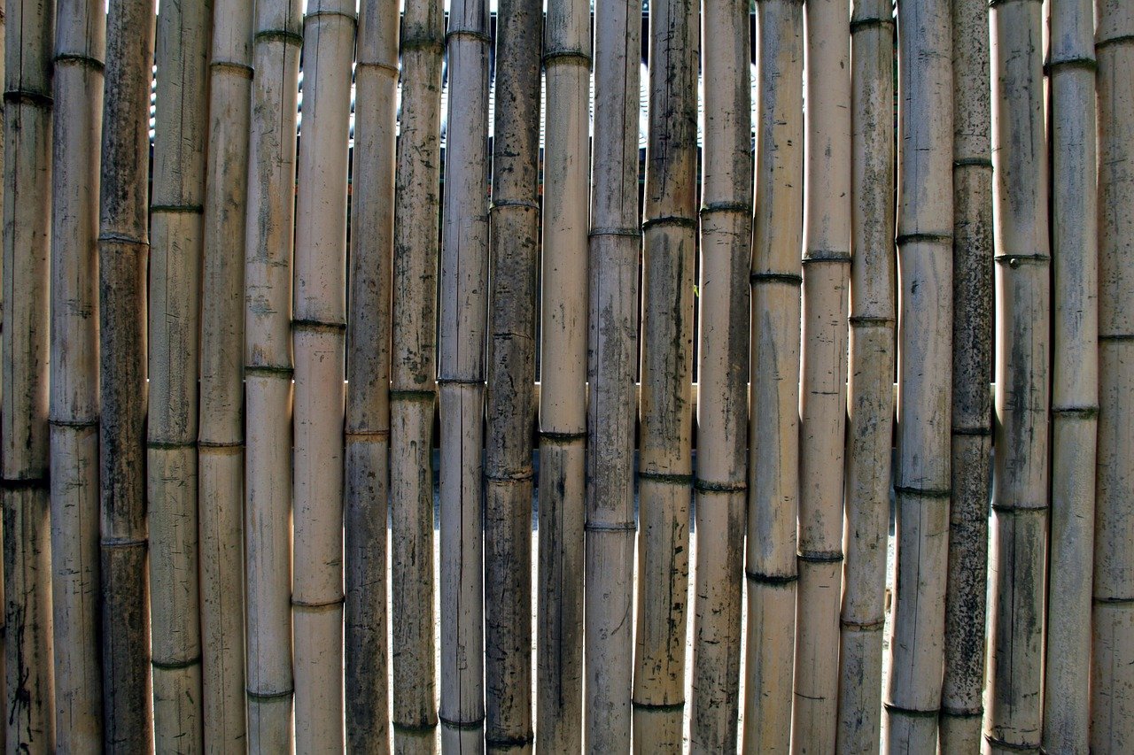 Bamboo Fencing Trends and Insights