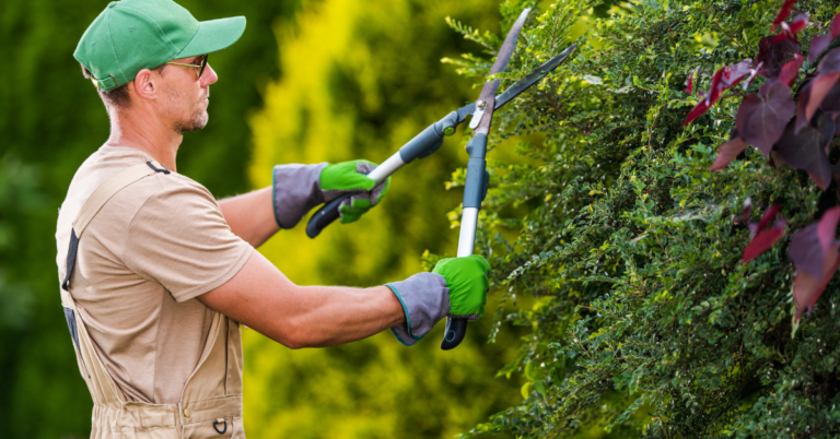 Landscape Gardeners
