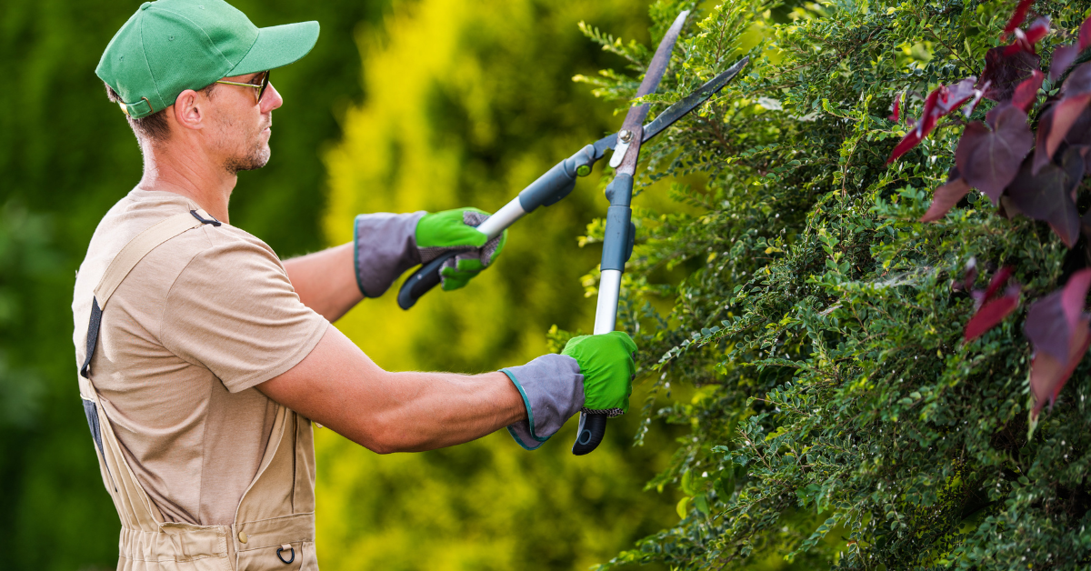 Landscape Gardeners
