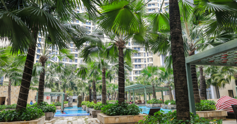 Tall Outdoor Planters