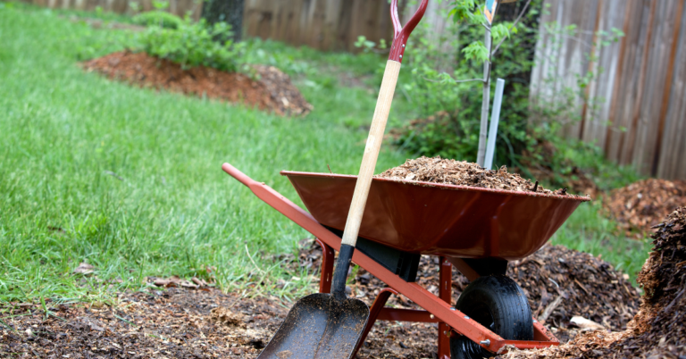 Yard Service