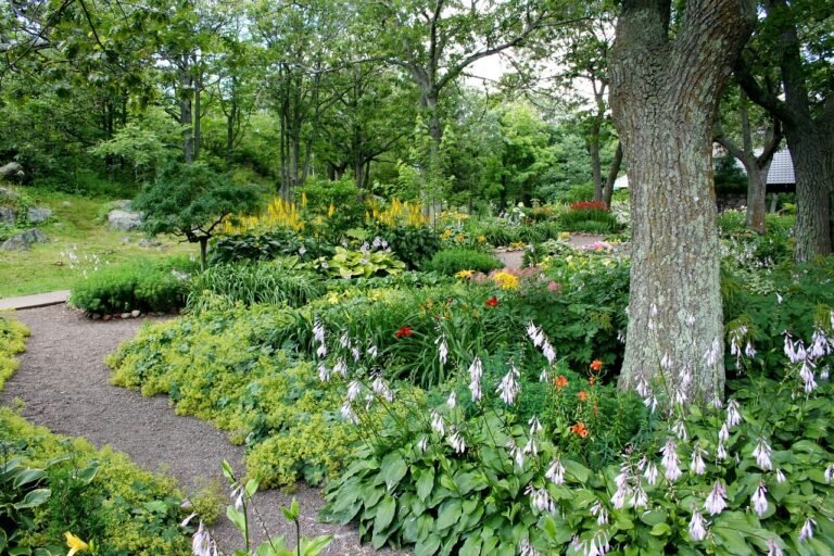Revolutionize Your Outdoor Space