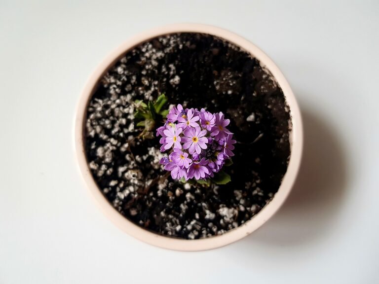 Mastering Flower Pots Step by Step