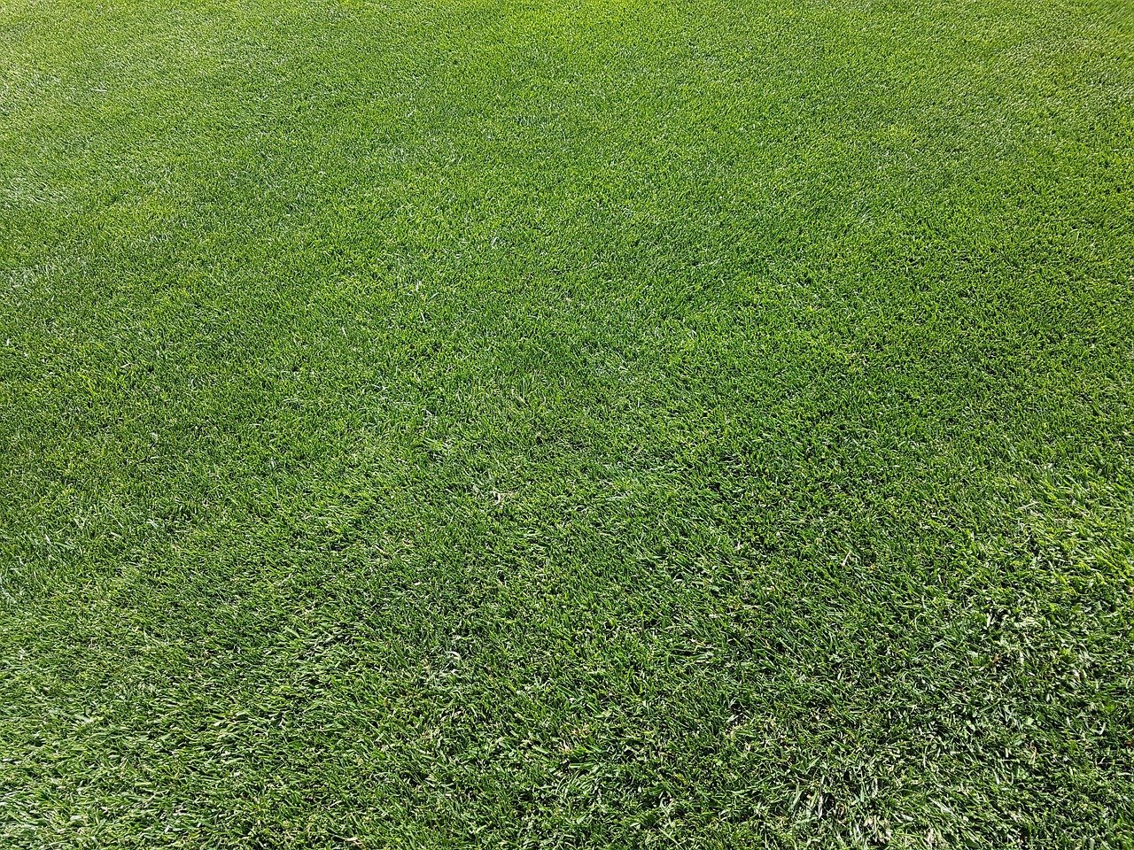 Turf Builder Strategies for Beginners