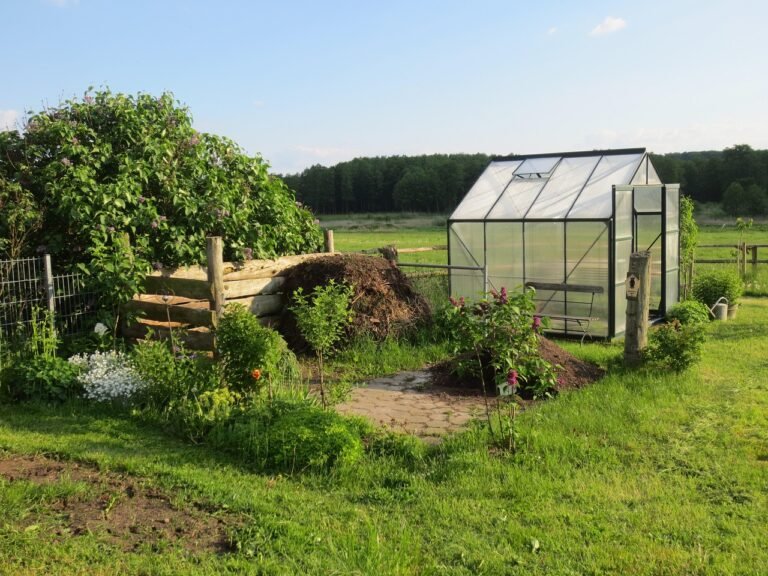 Garden Shed Trends and Design
