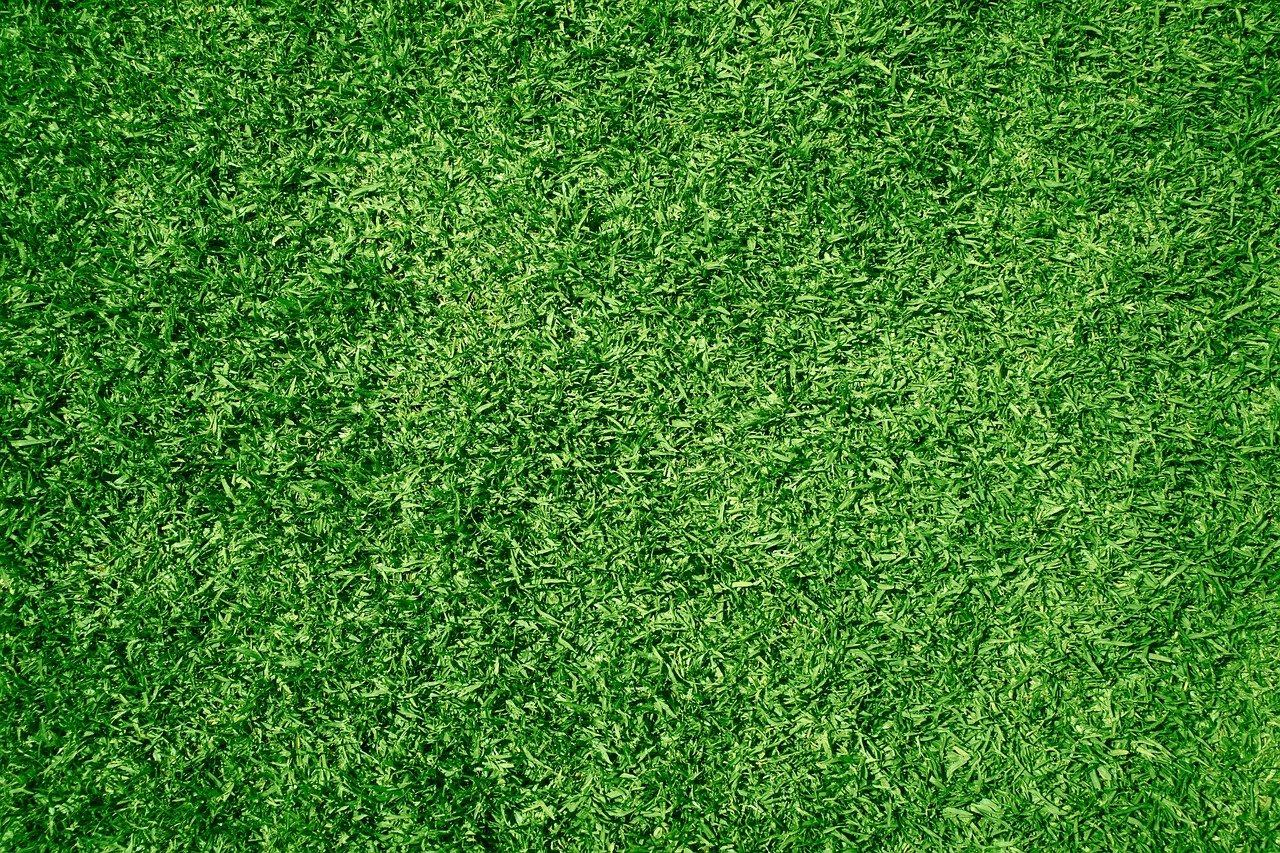 Backyard Landscaping Ideas for Beginners