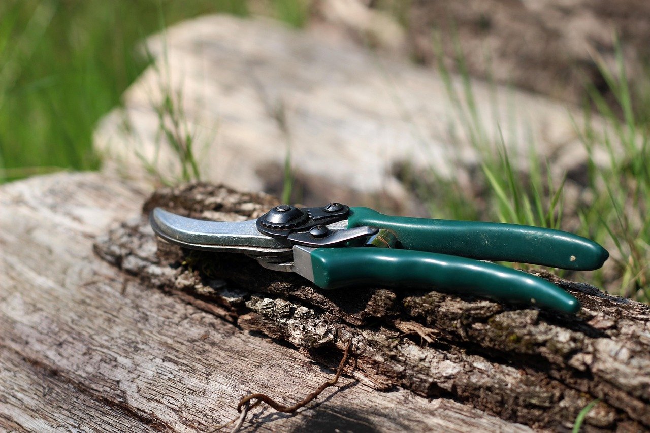 Garden Shears Case Study