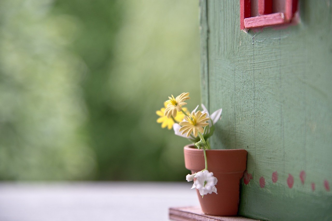 Building a Potting Shed Step by Step