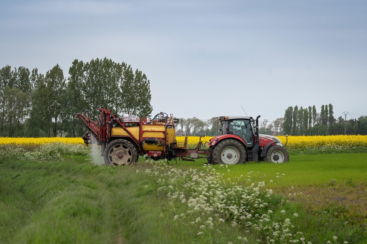 Organic Weed Killer