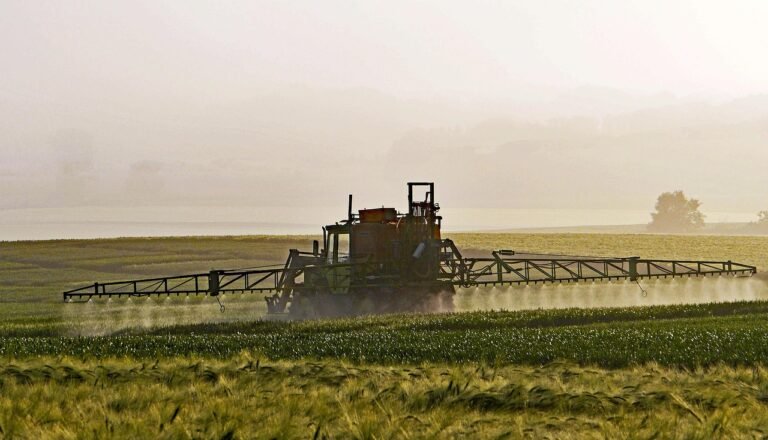 Weed Killer