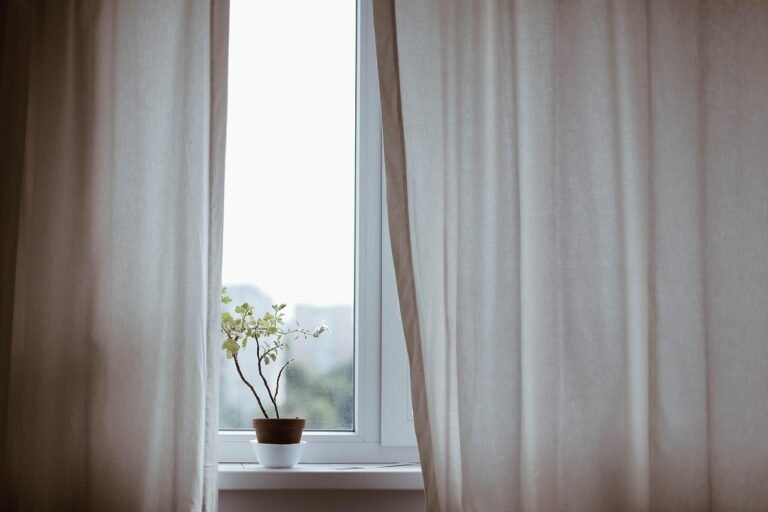Indoor Plants Made Easy