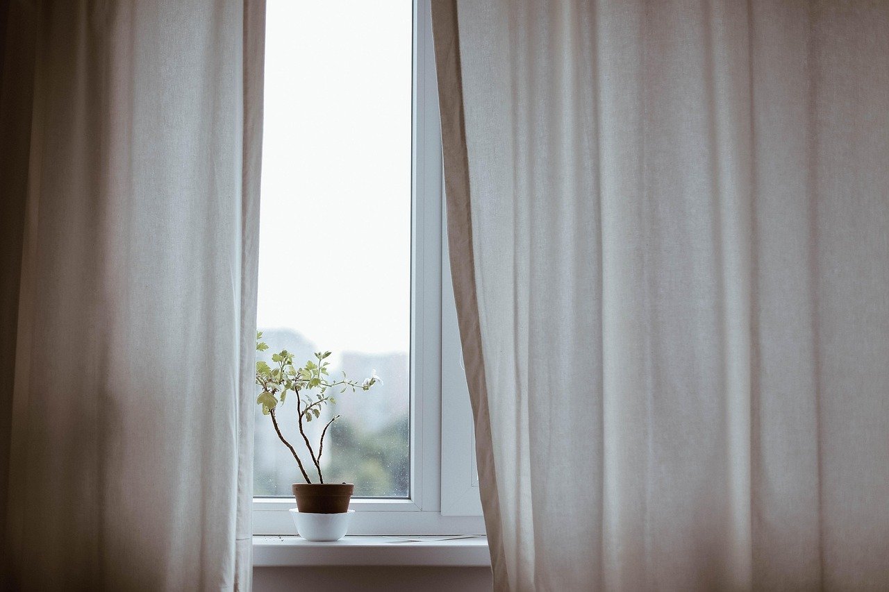 Indoor Plants Made Easy