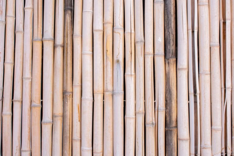 Debunking Bamboo Fencing Myths