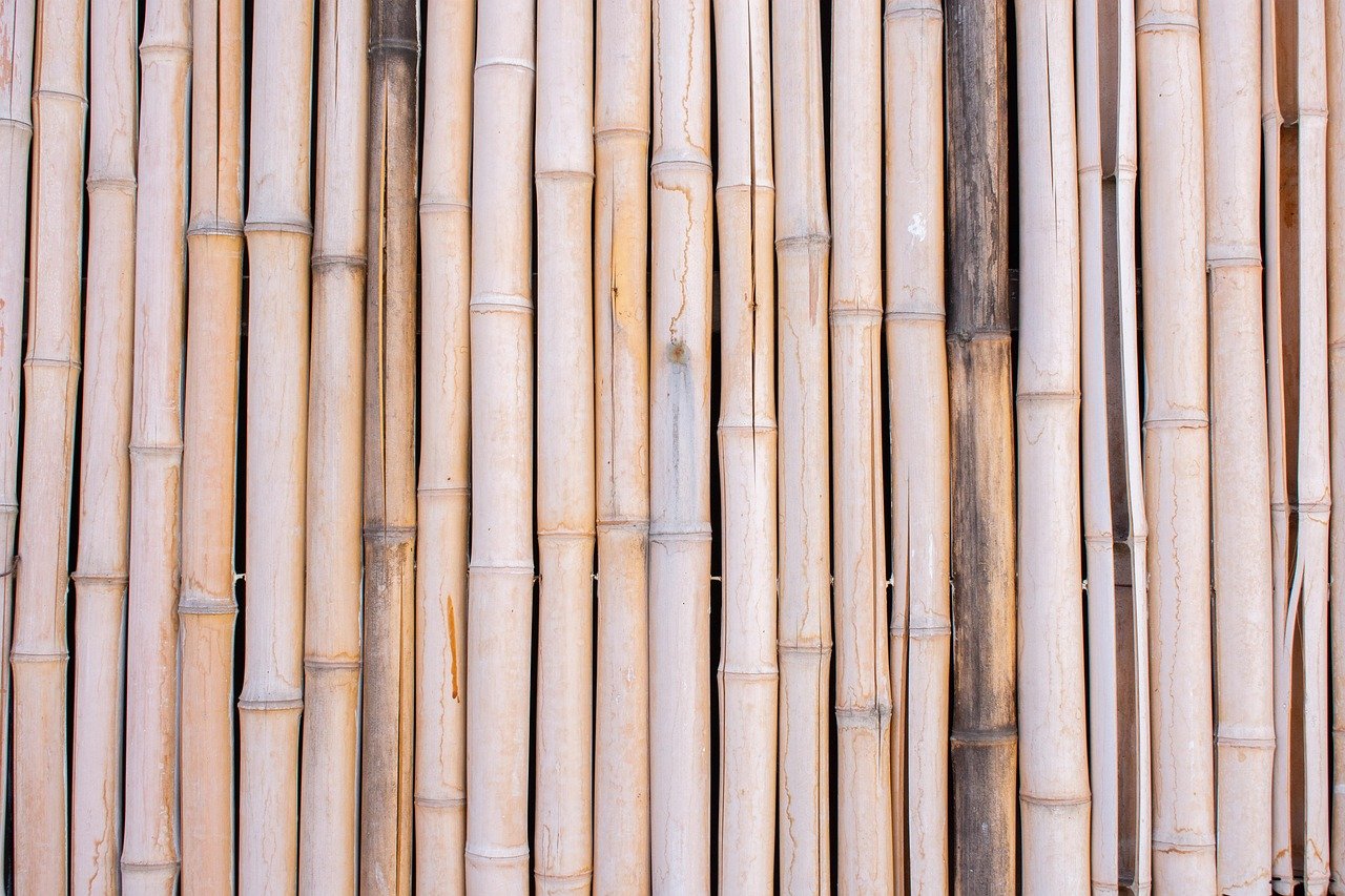 Debunking Bamboo Fencing Myths