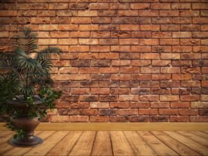 Wall Planters